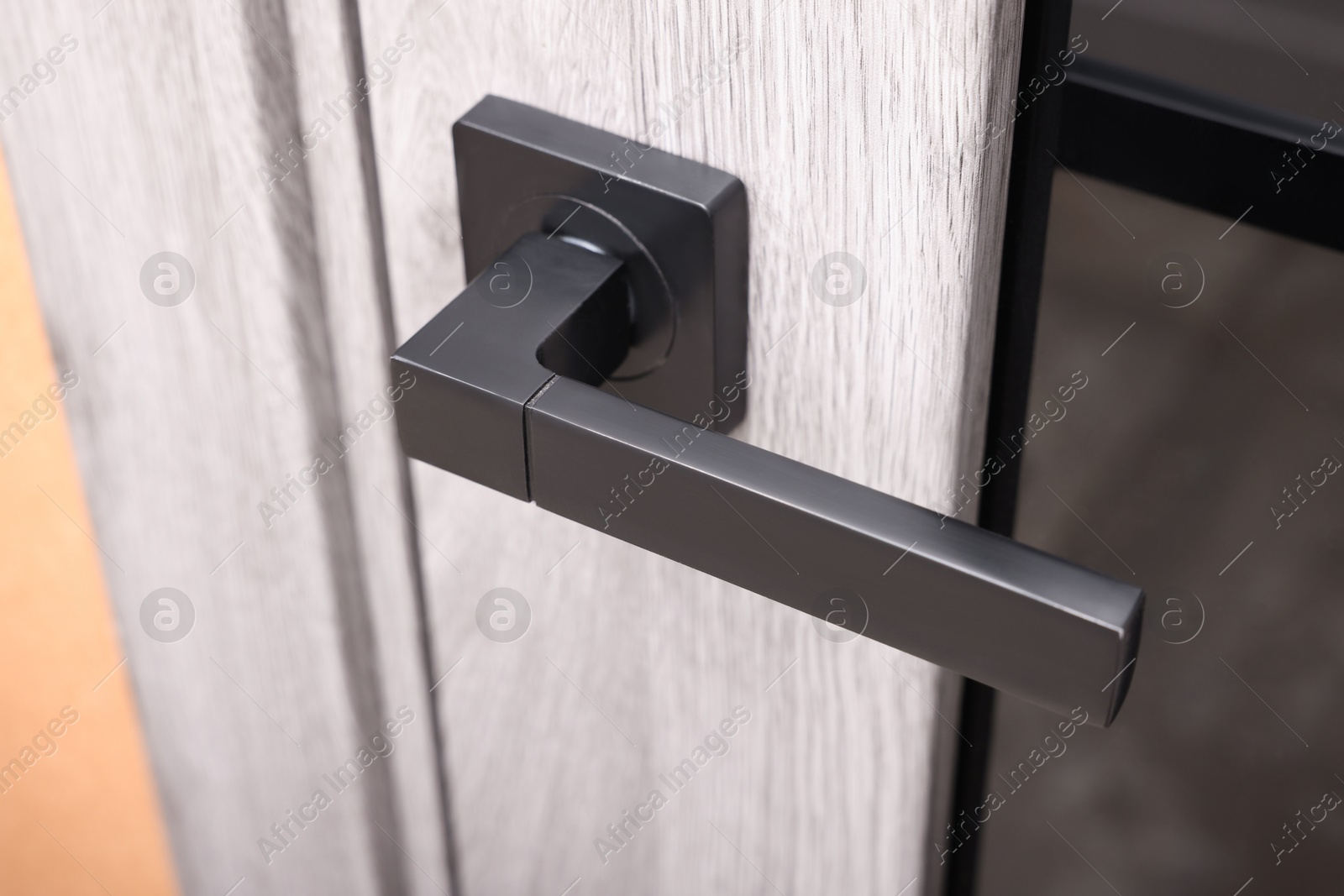 Photo of View of door with modern handle, closeup