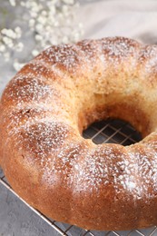 Freshly baked sponge cake with powdered sugar on table, closeup