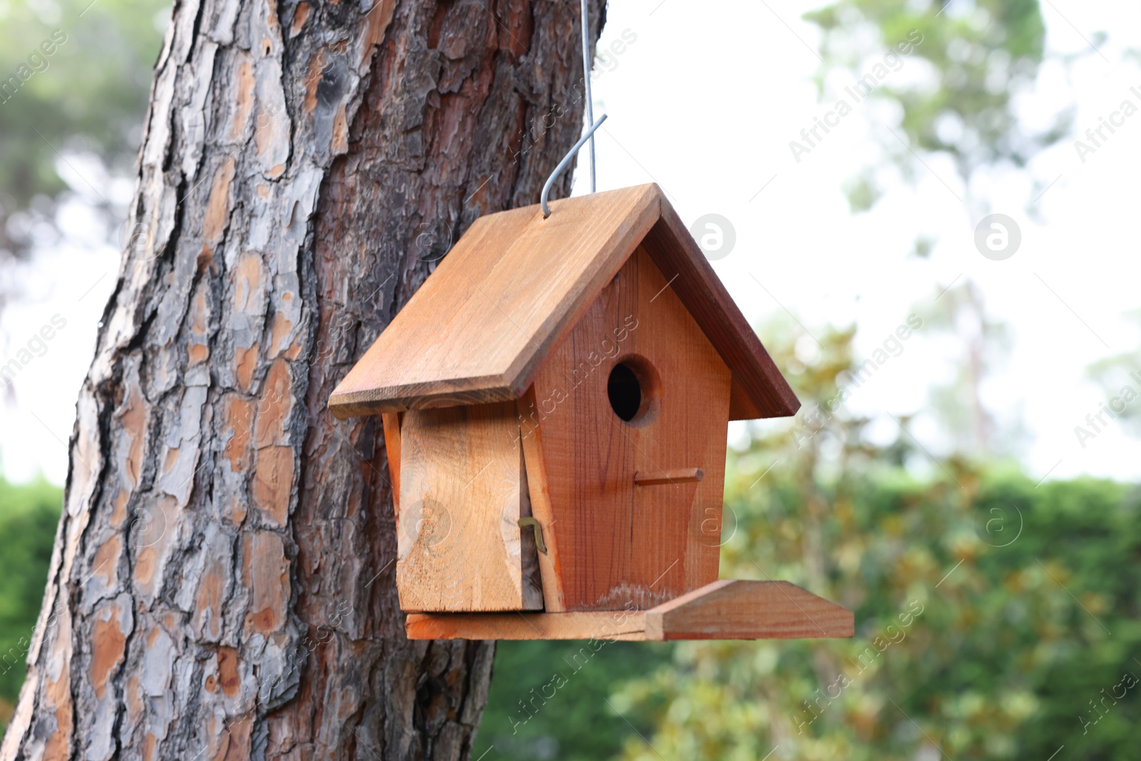 Photo of Beautiful wooden birdhouse hanging on tree trunk in park