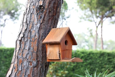 Photo of Beautiful wooden birdhouse hanging on tree trunk in park