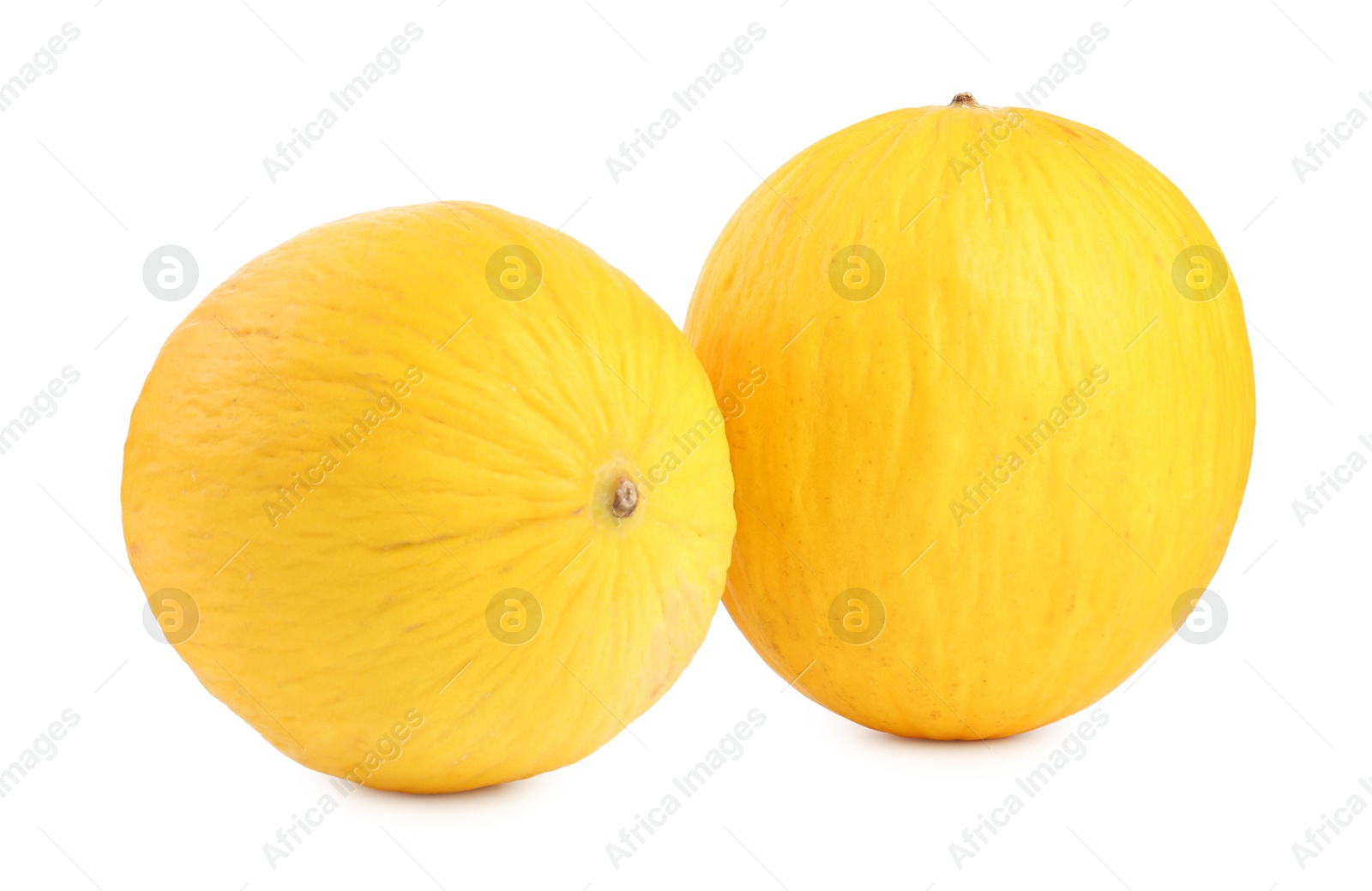 Photo of Two whole ripe melons isolated on white