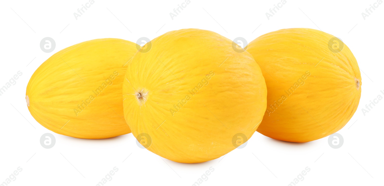 Photo of Three whole ripe melons isolated on white