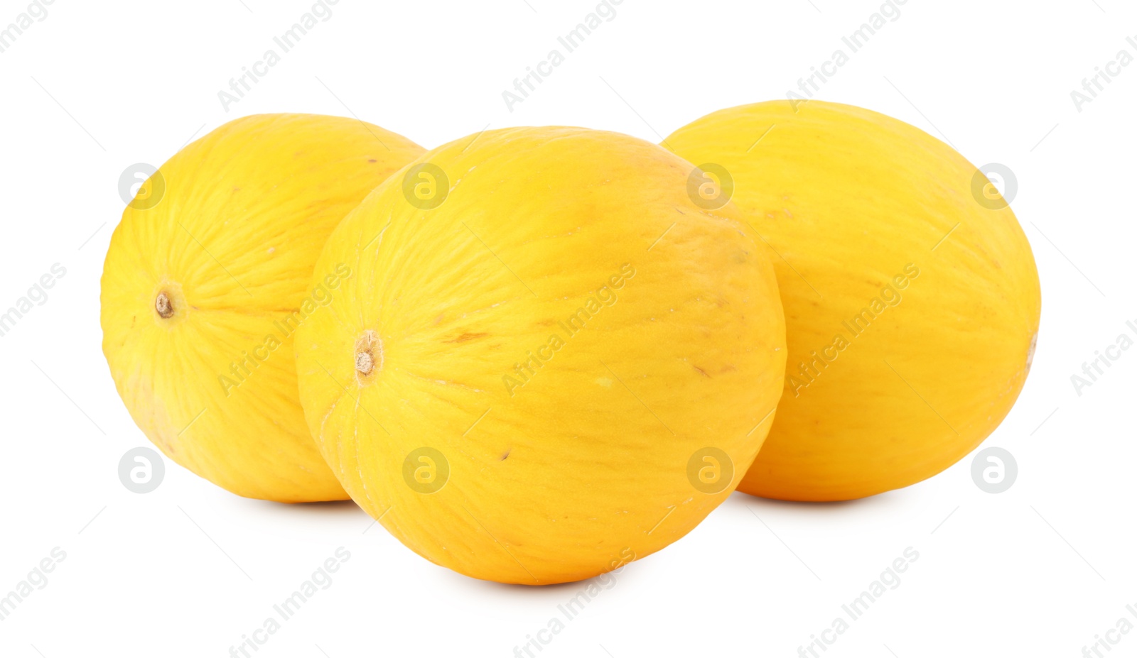 Photo of Three whole ripe melons isolated on white