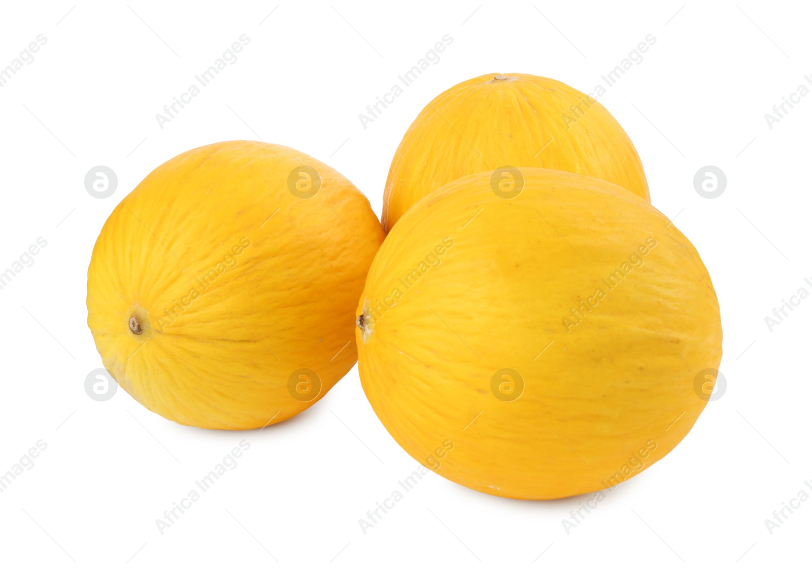 Photo of Three whole ripe melons isolated on white