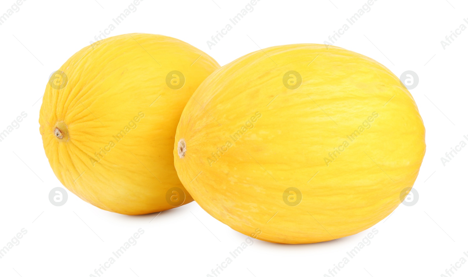 Photo of Two whole ripe melons isolated on white