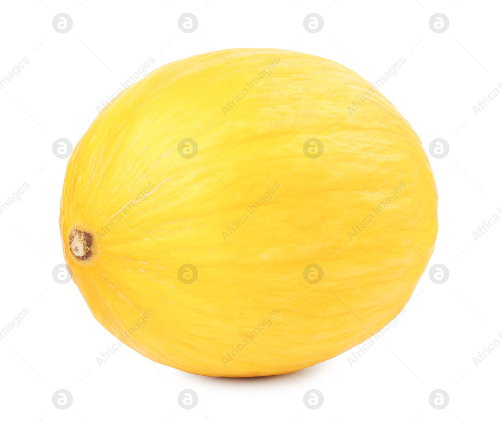 Photo of One whole ripe melon isolated on white