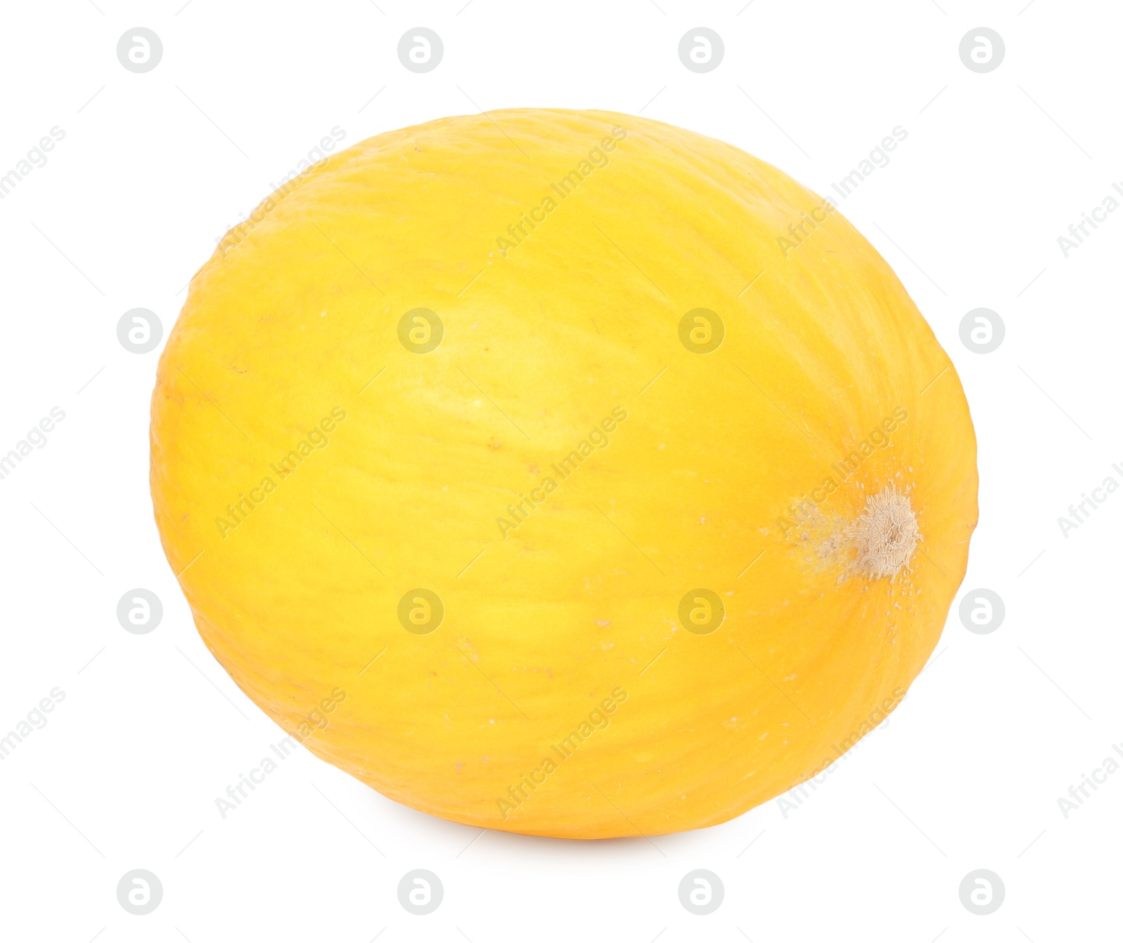 Photo of One whole ripe melon isolated on white