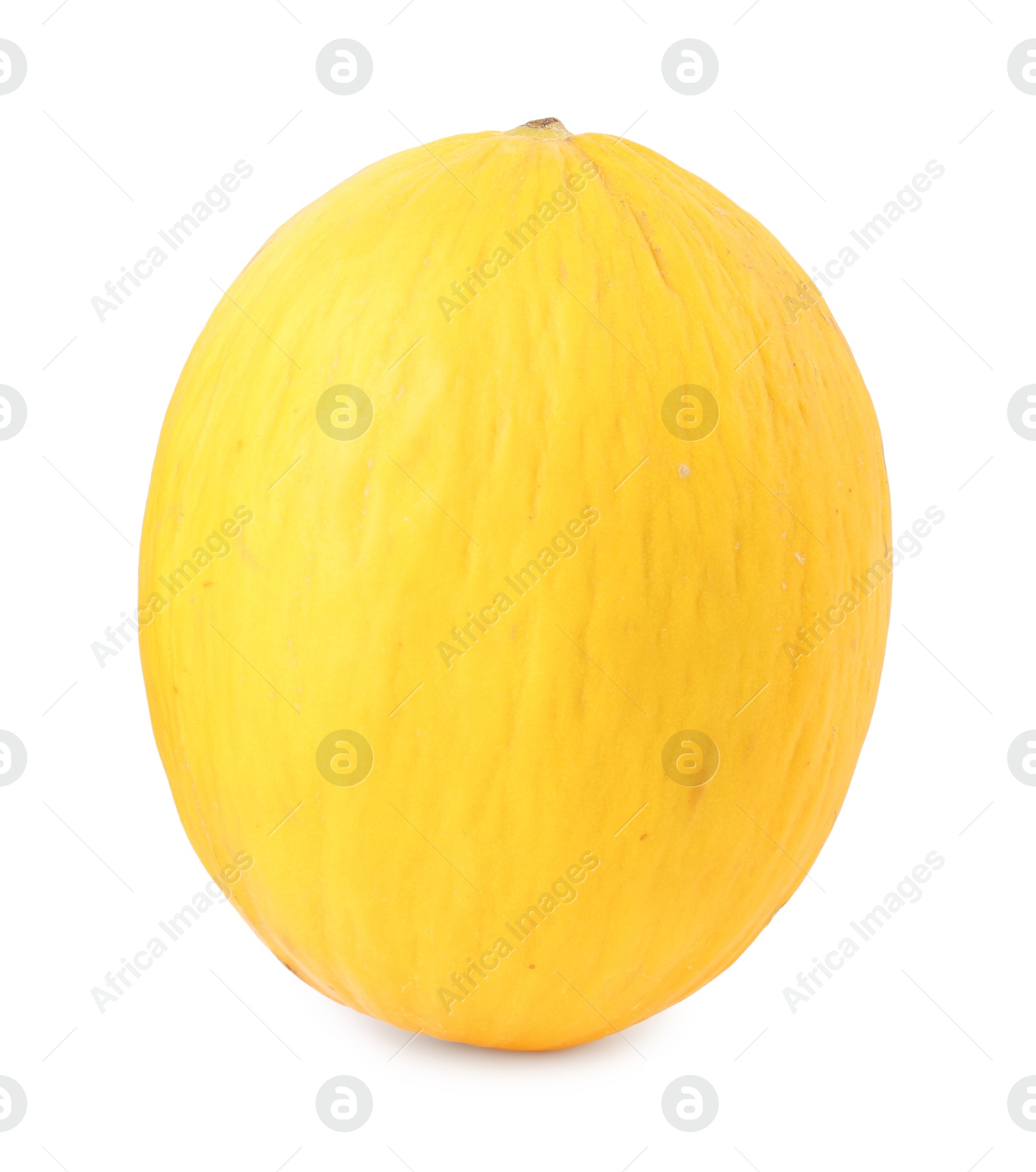 Photo of One whole ripe melon isolated on white