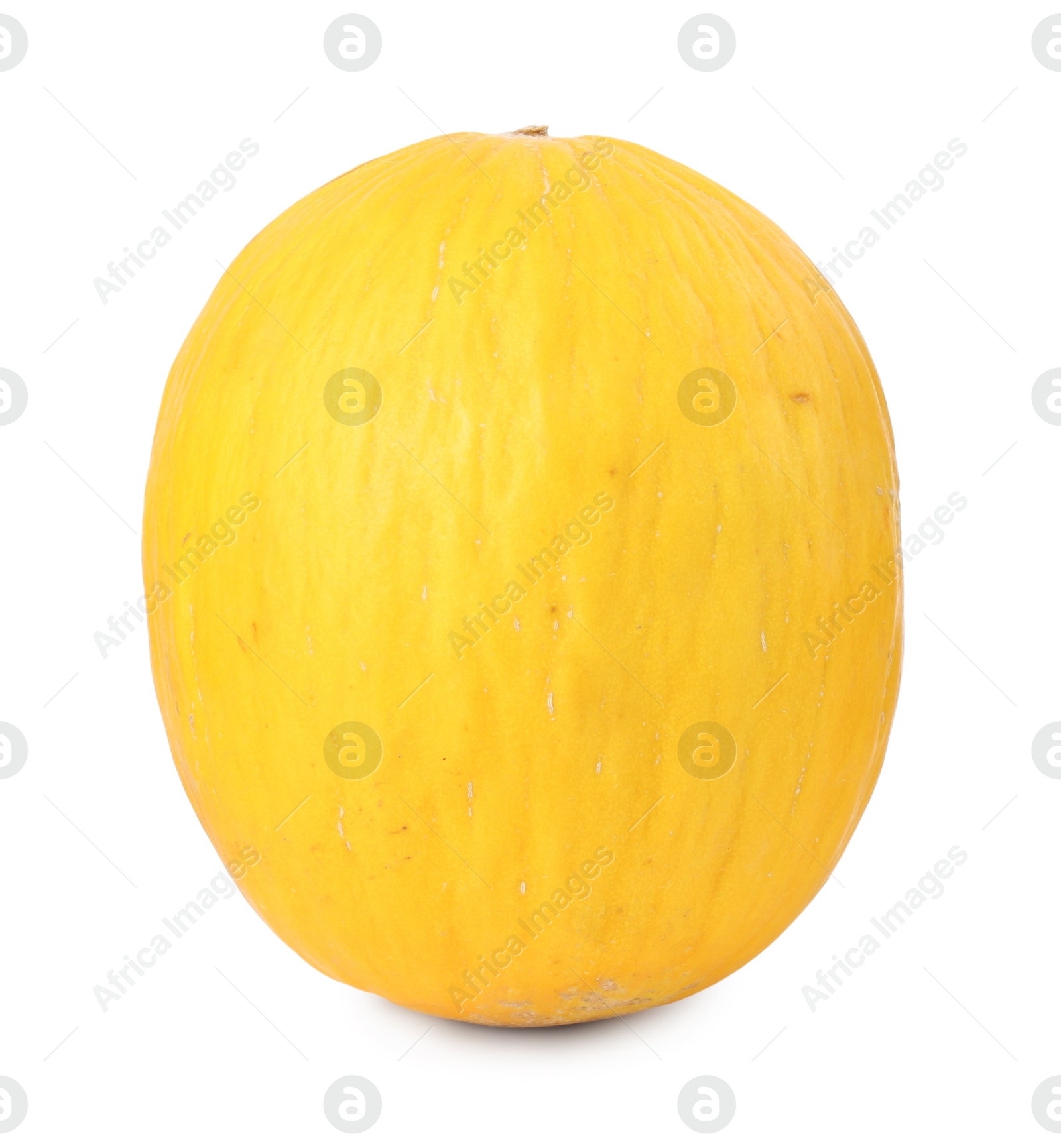 Photo of One whole ripe melon isolated on white