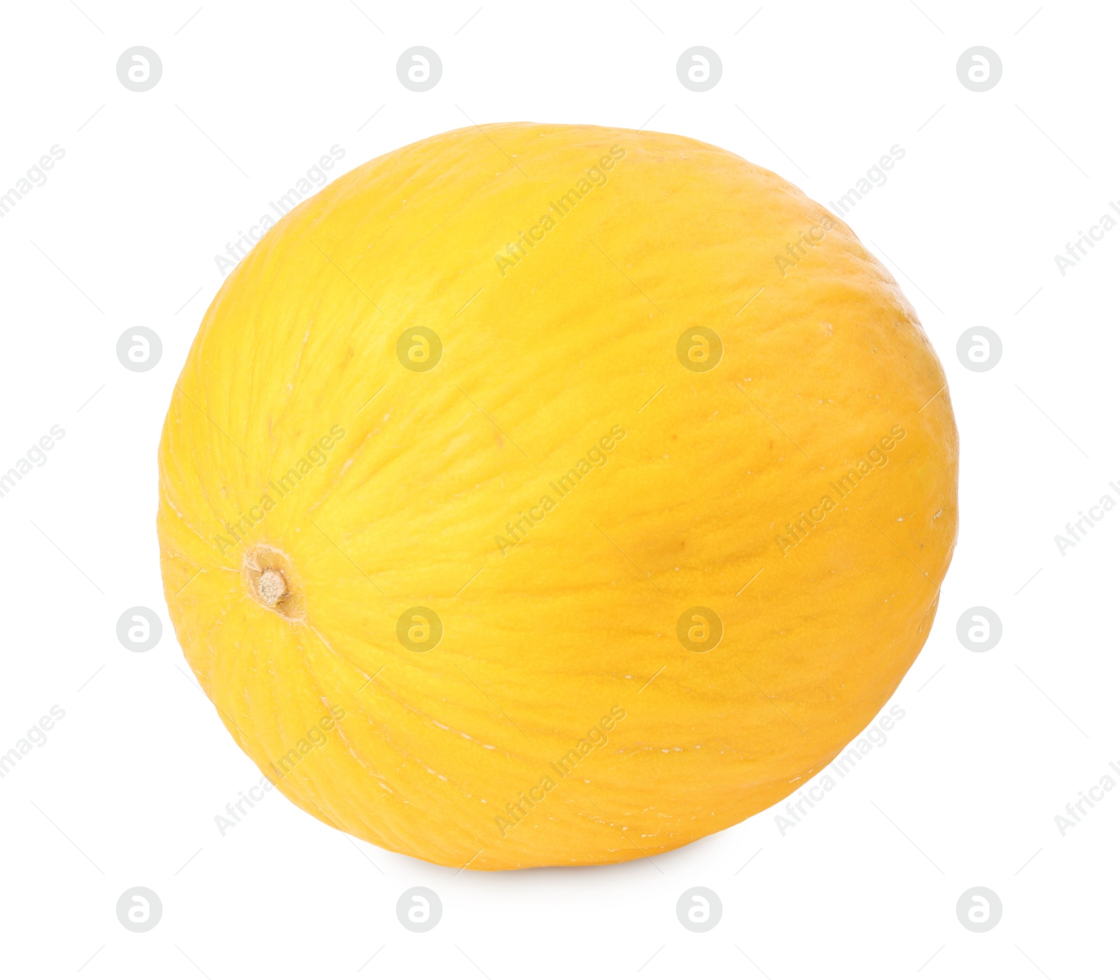 Photo of One whole ripe melon isolated on white