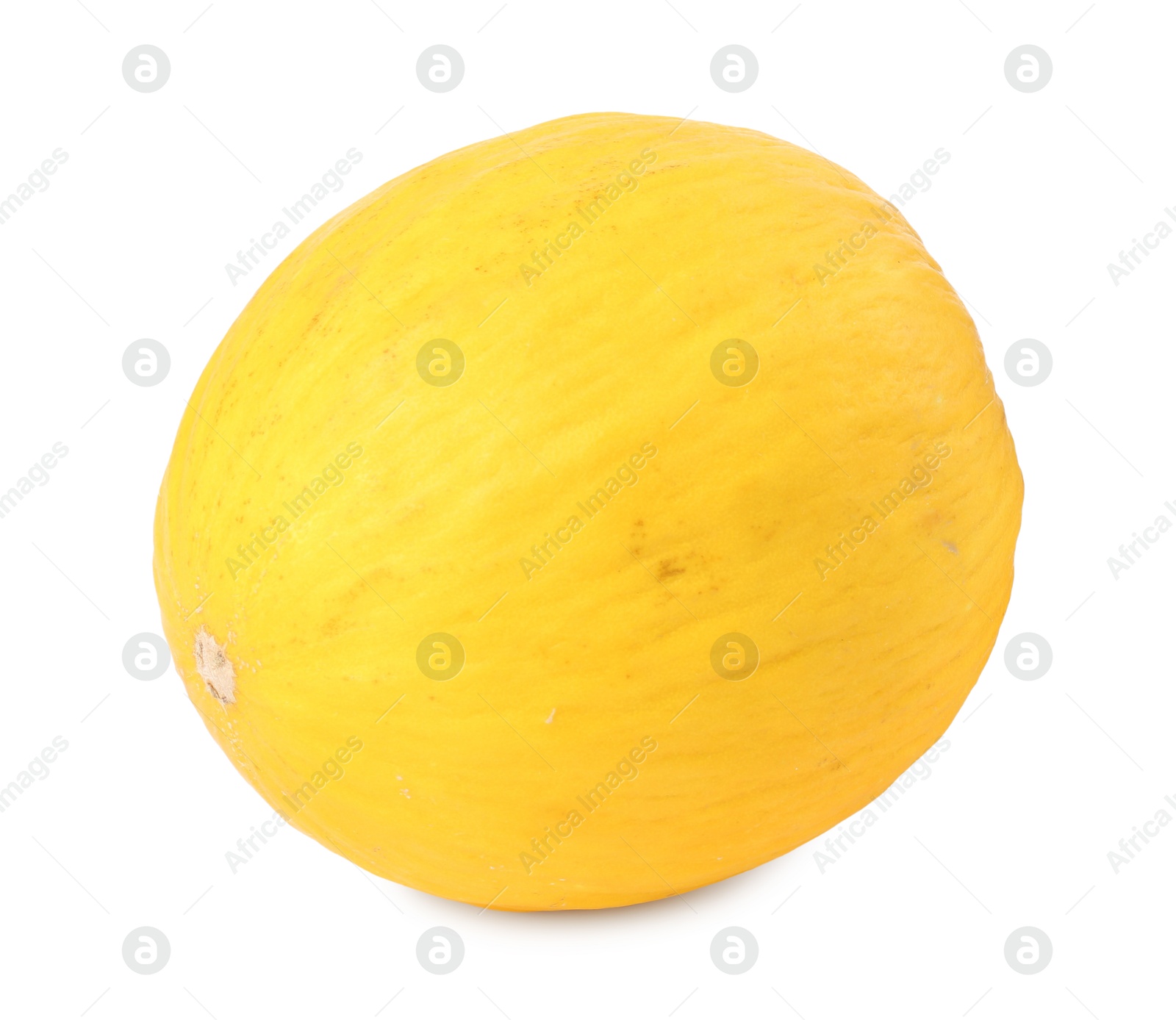 Photo of One whole ripe melon isolated on white