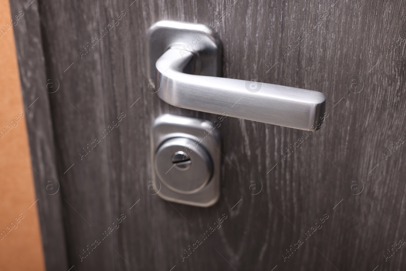 Photo of View of door with modern metal handle, closeup