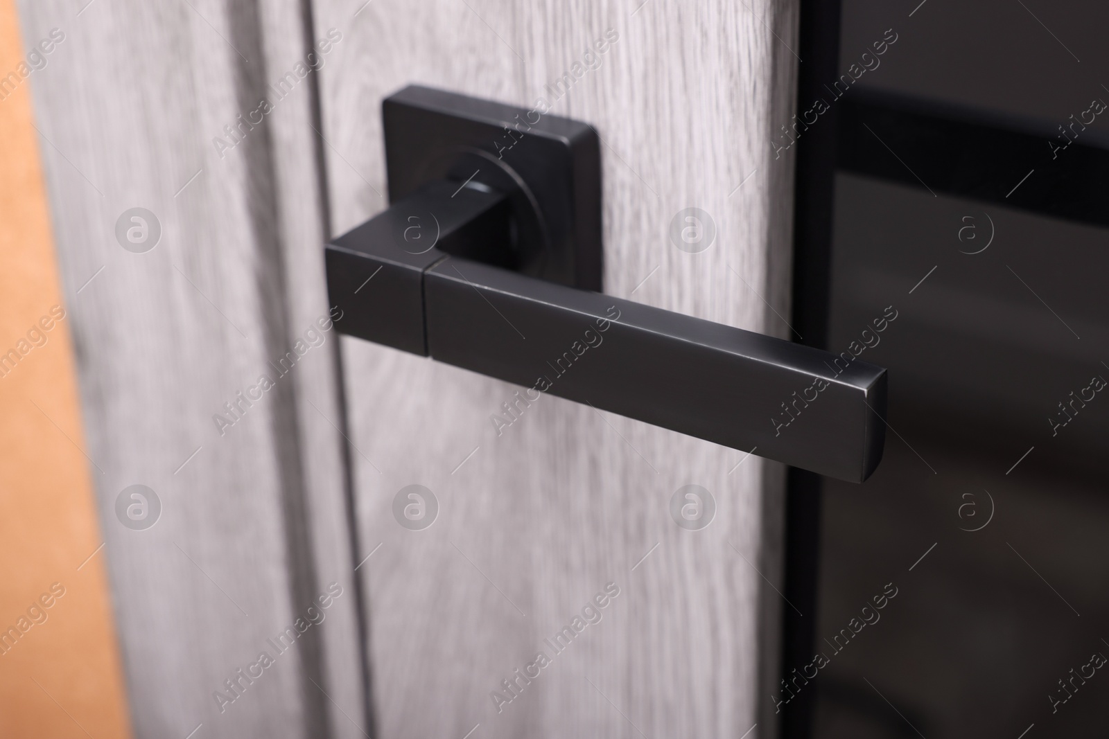 Photo of View of door with modern handle, closeup