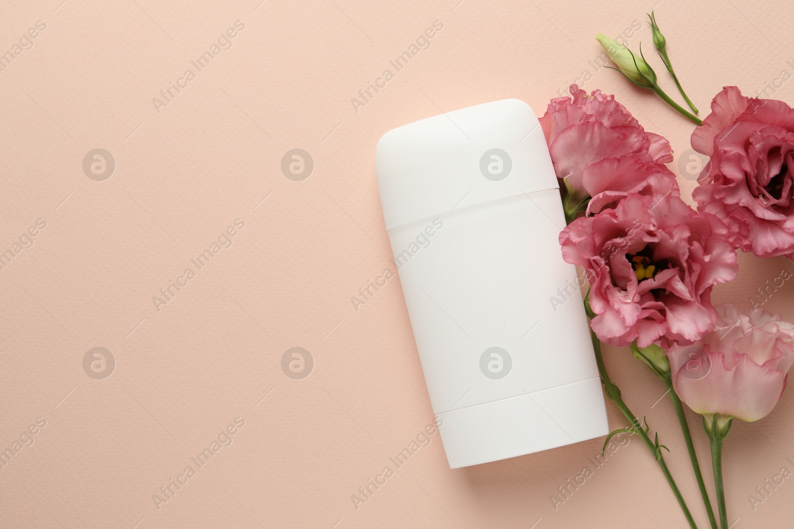 Photo of Solid deodorant and beautiful eustoma flowers on beige background, flat lay. Space for text