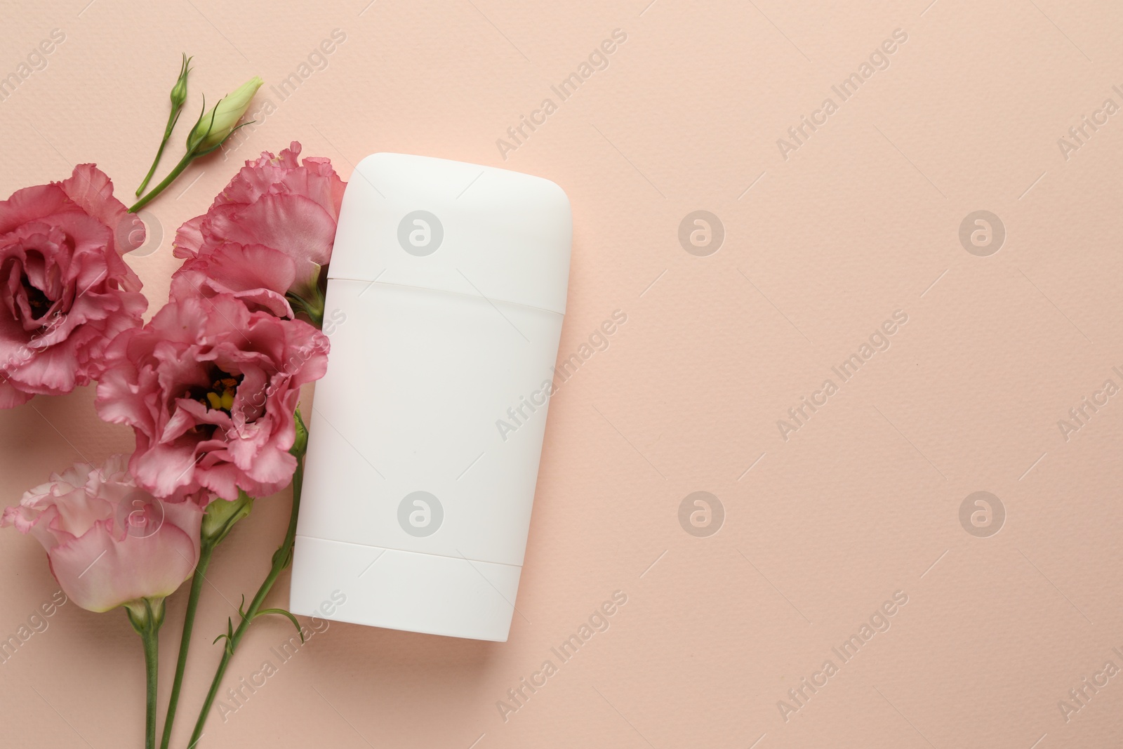 Photo of Solid deodorant and beautiful eustoma flowers on beige background, flat lay. Space for text