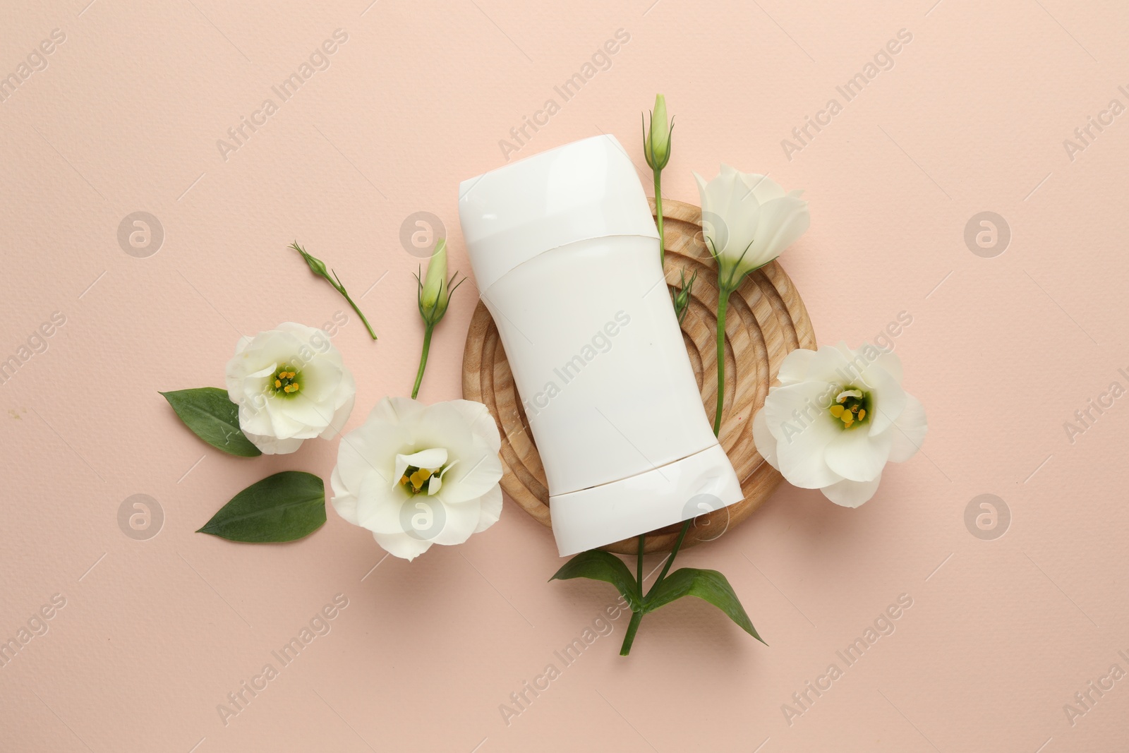 Photo of Solid deodorant and beautiful eustoma flowers on beige background, flat lay