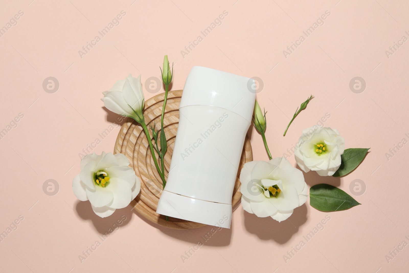 Photo of Solid deodorant and beautiful eustoma flowers on beige background, flat lay