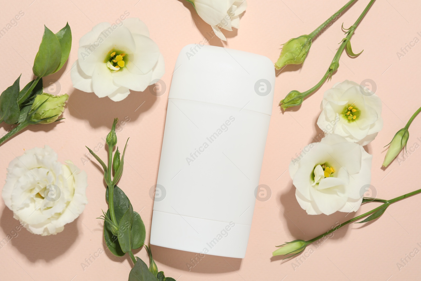 Photo of Solid deodorant and beautiful eustoma flowers on beige background, flat lay