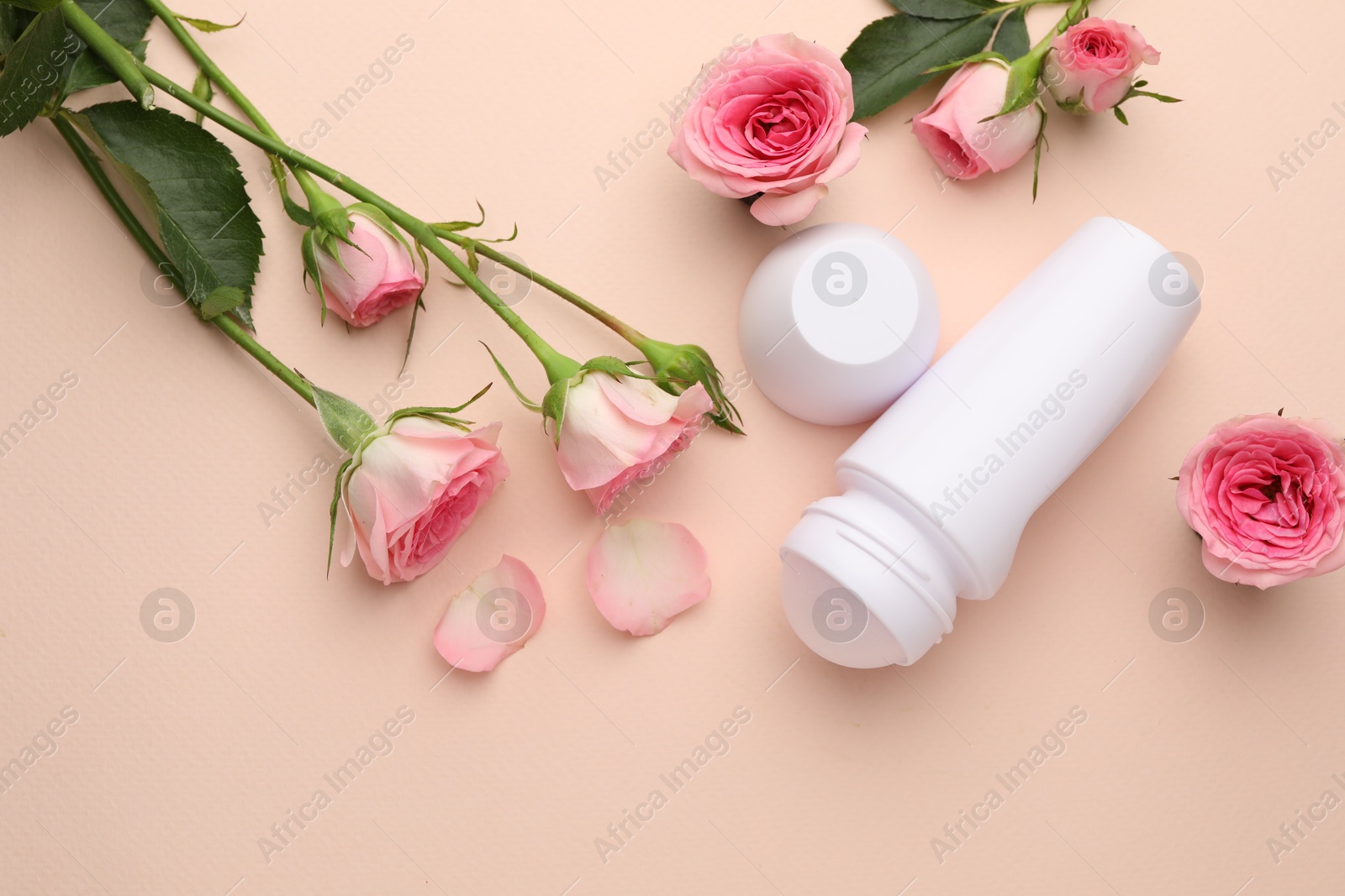 Photo of Roll-on deodorant and beautiful rose flowers on beige background, flat lay