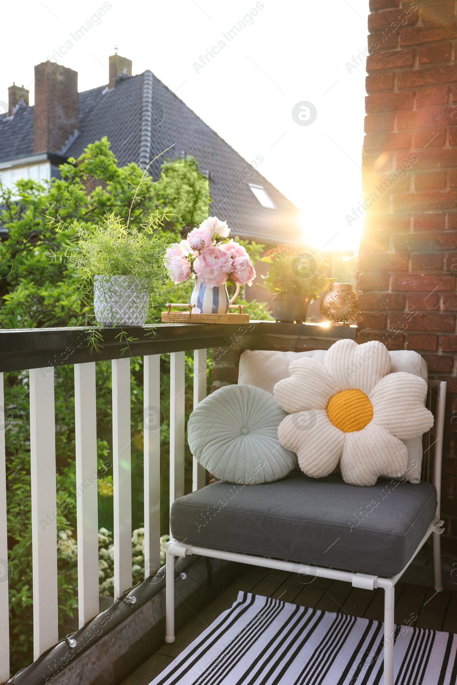 Photo of Different plants on railings and chair at cozy balcony outdoors