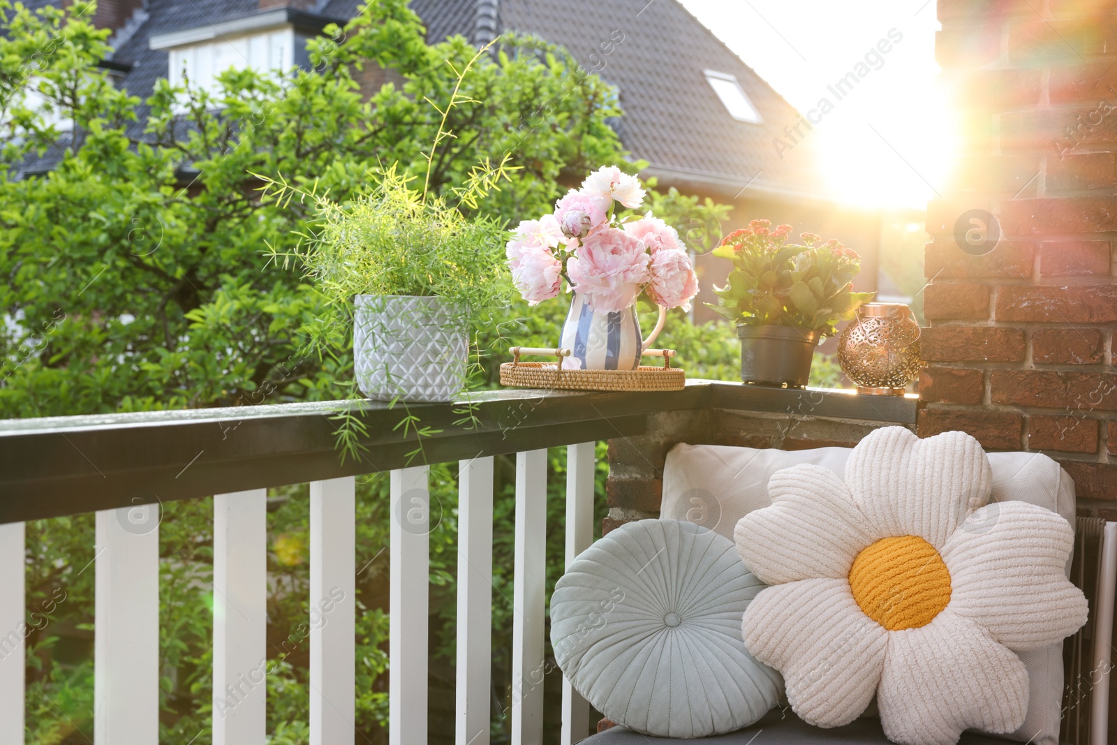 Photo of Balcony garden. Different plants growing on railings outdoors