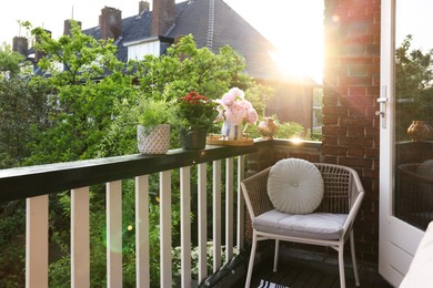 Photo of Different plants on railings and chair at cozy balcony outdoors