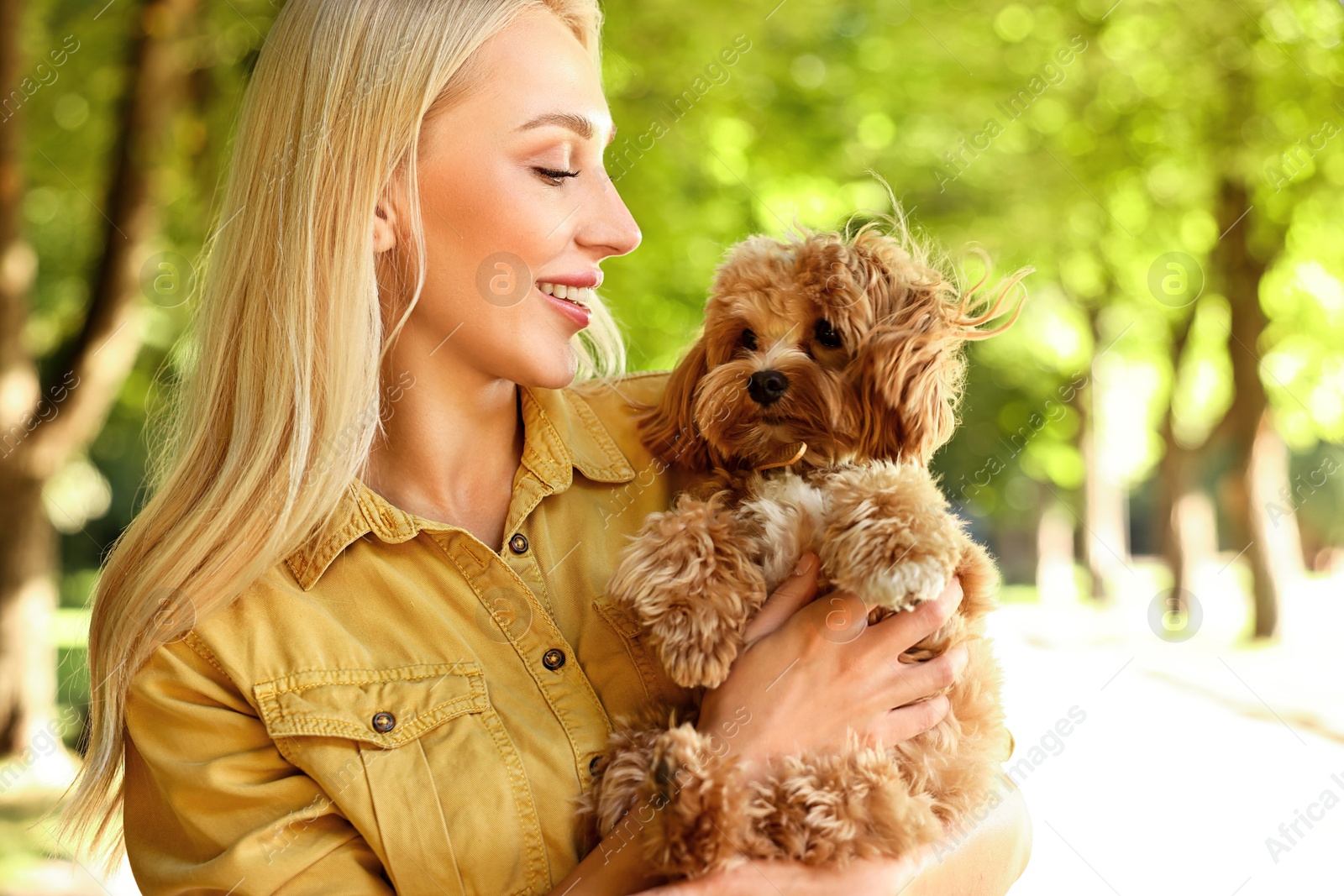 Photo of Beautiful young woman with cute dog in park