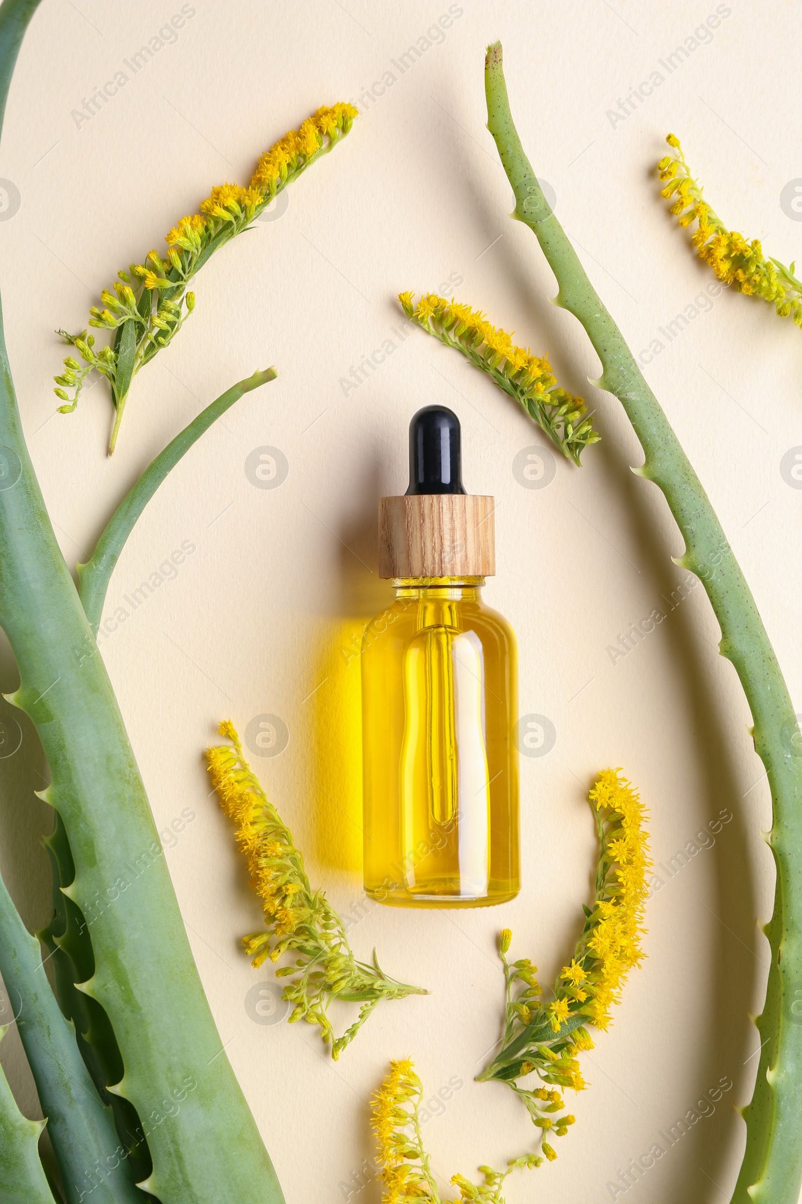 Photo of Tincture in bottle, goldenrod flowers and aloe vera leaves on beige background, flat lay