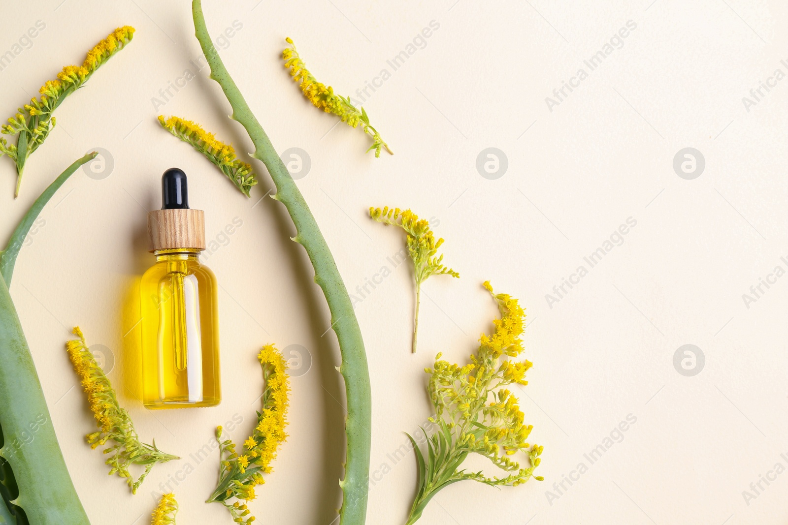 Photo of Tincture in bottle, goldenrod flowers and aloe vera leaves on beige background, flat lay. Space for text