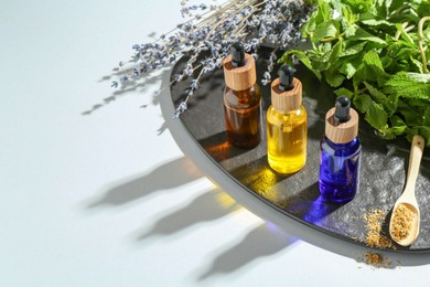 Tinctures in bottles and medicinal herbs on white table, space for text