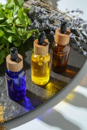 Photo of Tinctures in bottles and medicinal herbs on white table, closeup