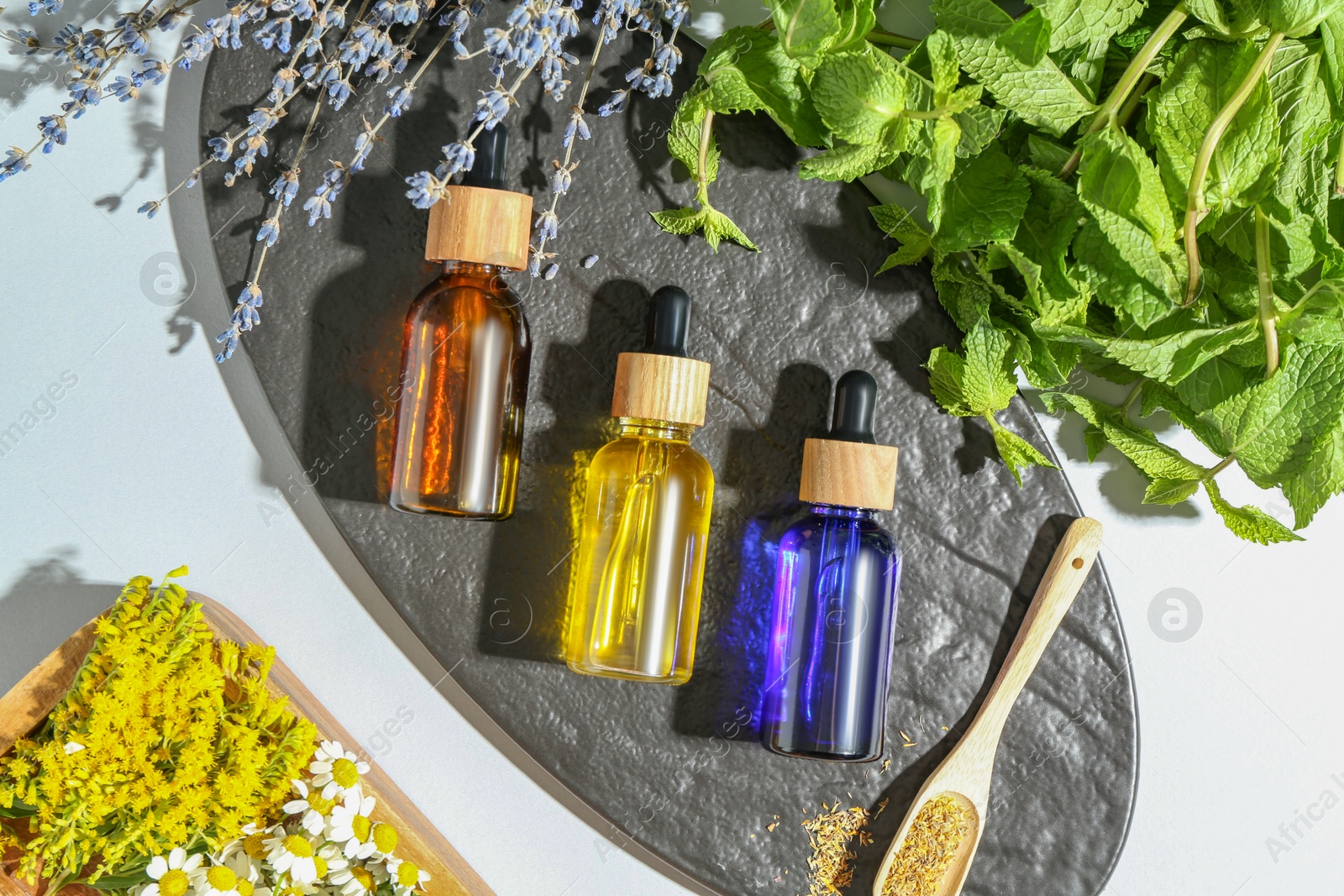 Photo of Tinctures in bottles and medicinal herbs on white table, top view