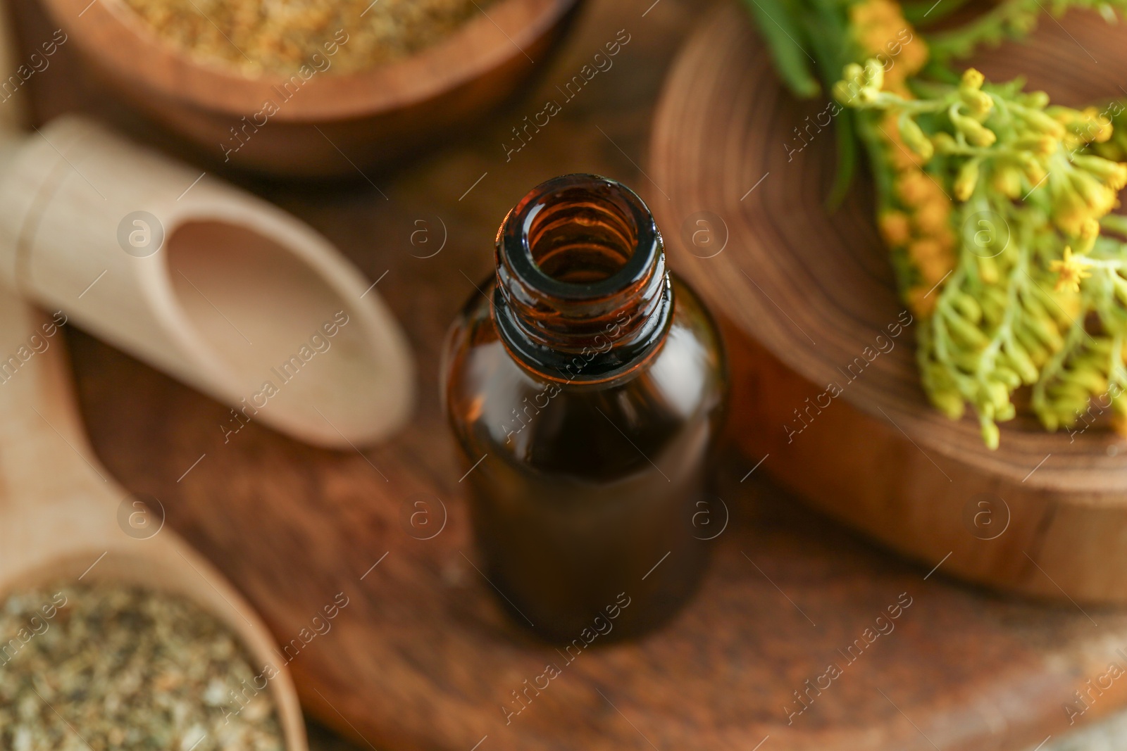 Photo of Tincture in bottle and medicinal herbs on table, closeup