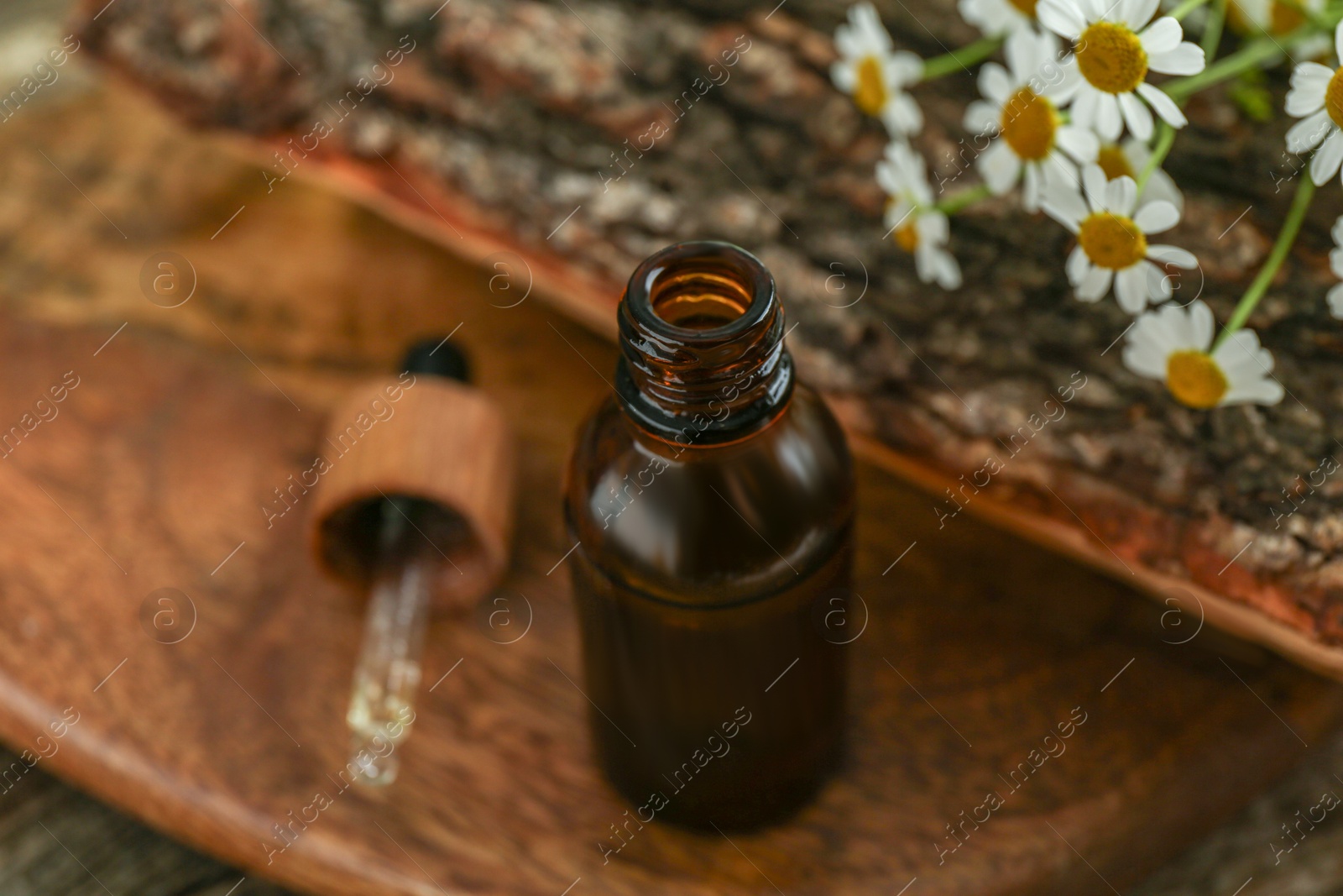 Photo of Tincture in bottle, pipette and chamomile flowers on table, closeup