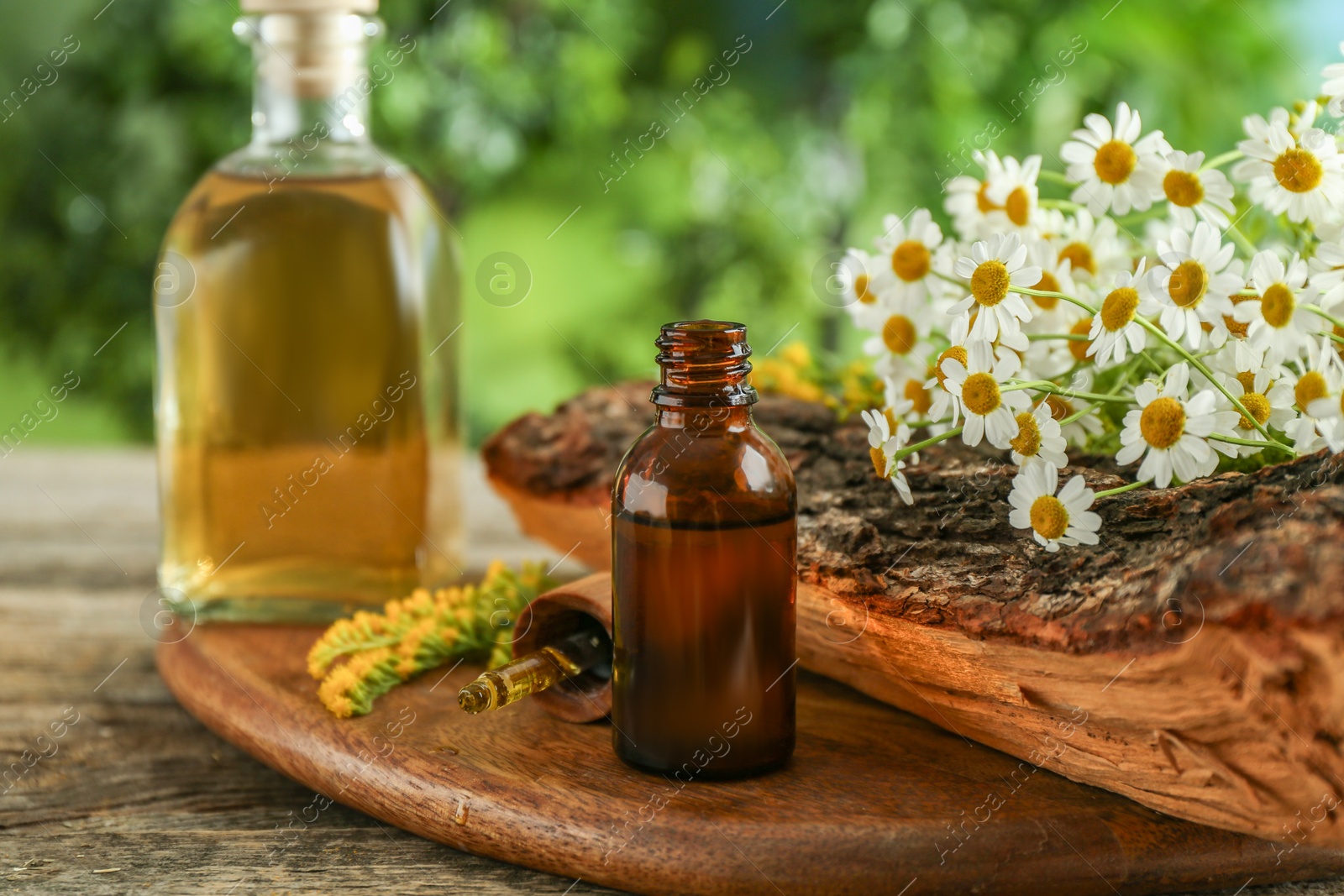 Photo of Tinctures in bottles, pipette, goldenrods and chamomile flowers on wooden table