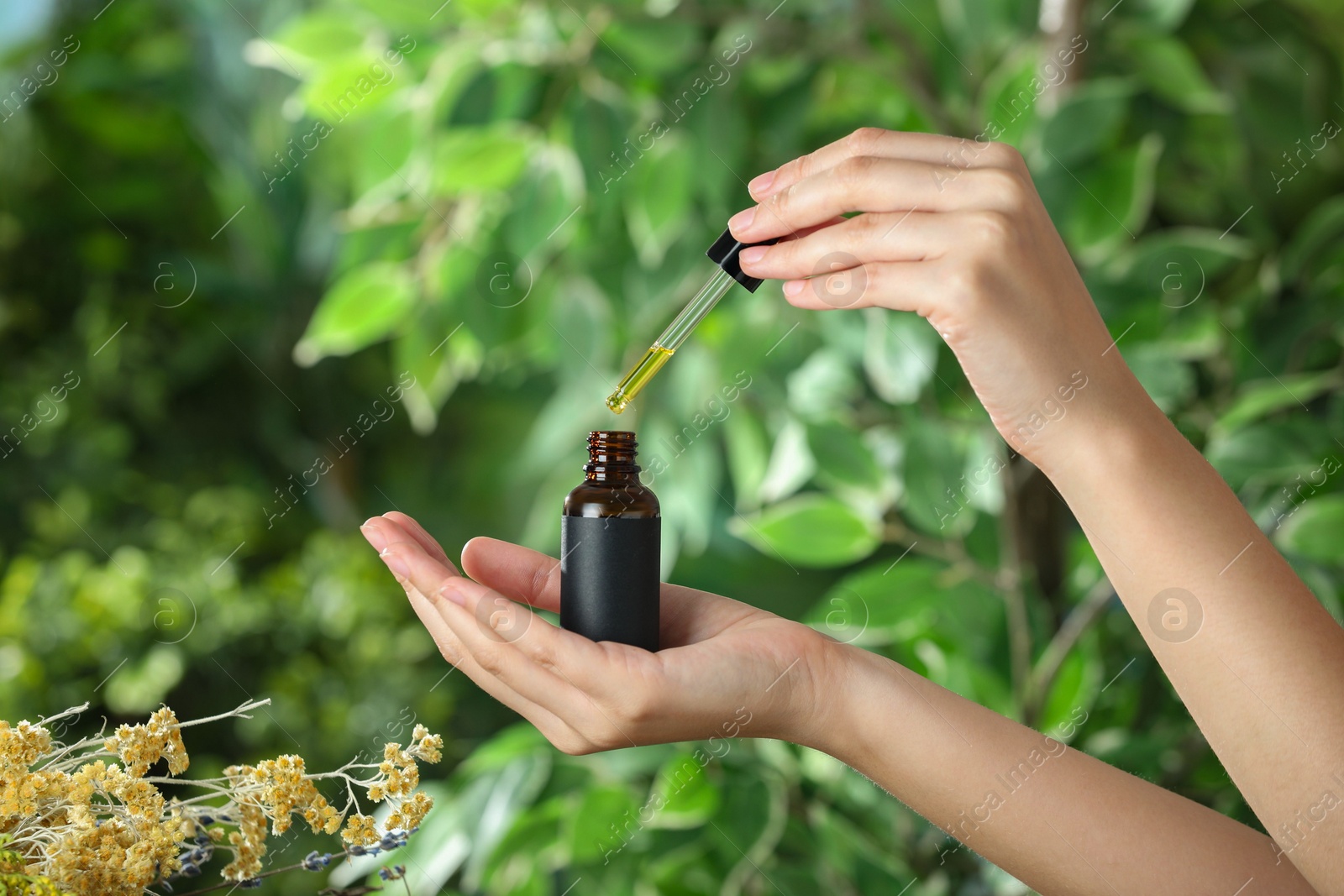 Photo of Woman dripping tincture from pipette into bottle against blurred green background, closeup