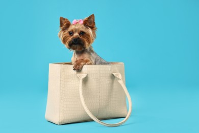 Cute Yorkshire Terrier dog in bag on light blue background, space for text