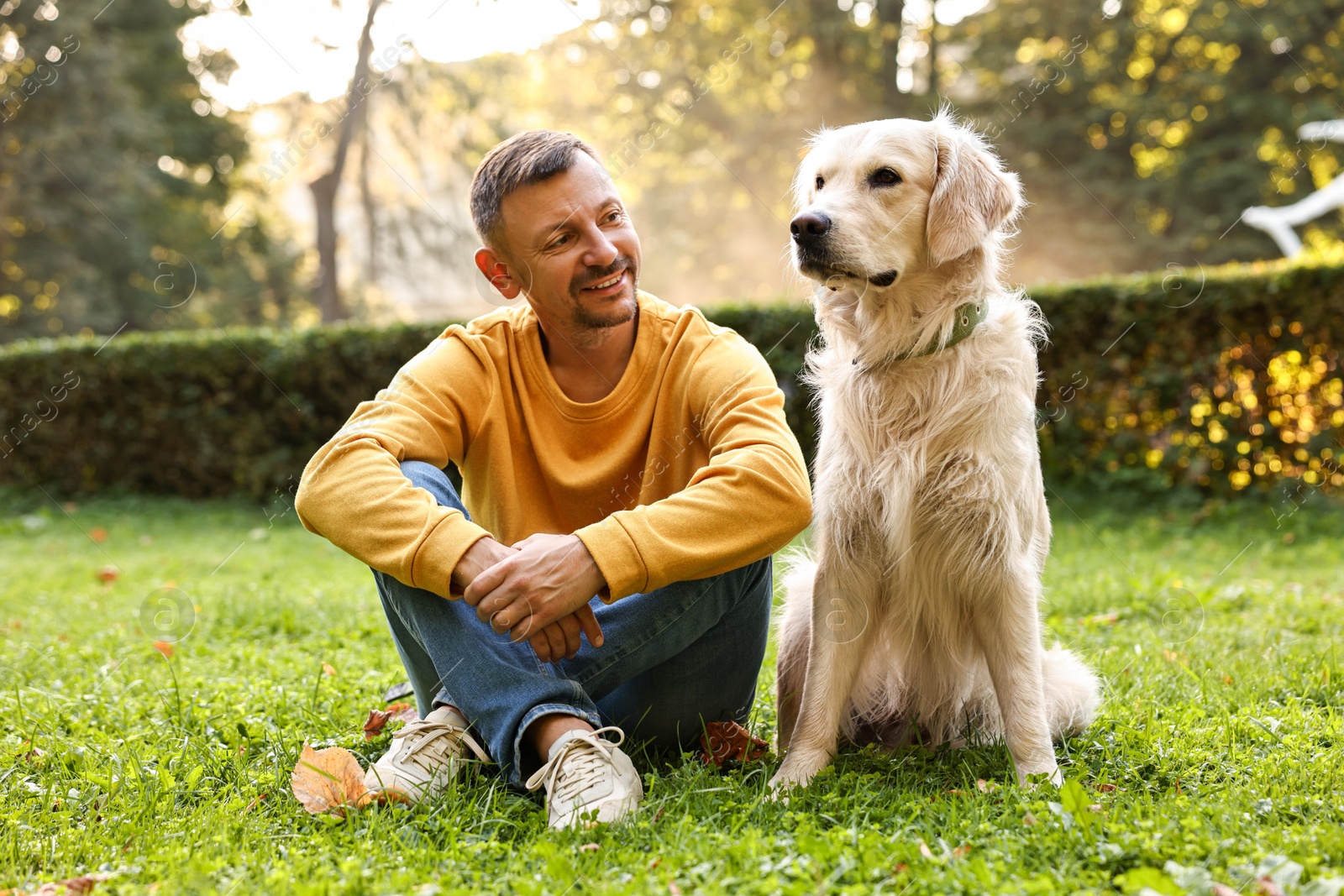 Photo of Smiling man with cute Golden Retriever dog on spring day