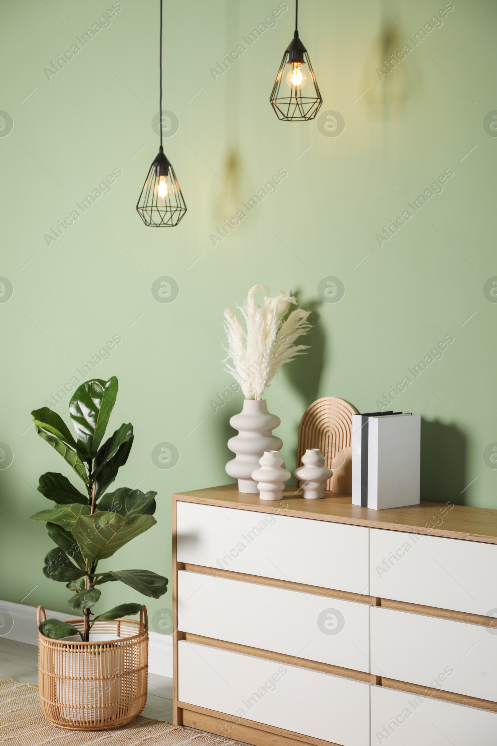 Photo of Different decorative elements on chest of drawers and houseplant near green wall indoors