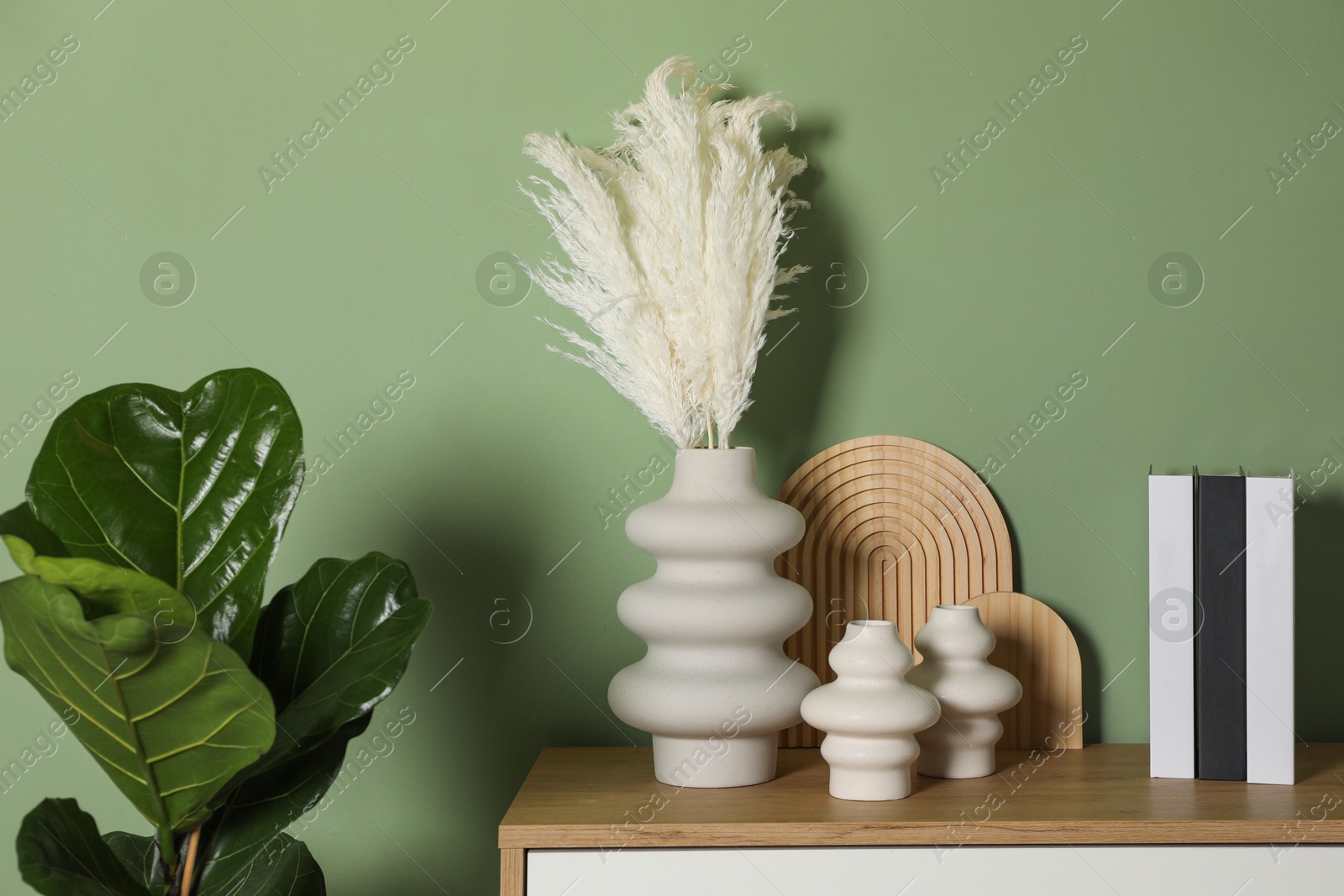 Photo of Different decorative elements on chest of drawers and houseplant near green wall indoors