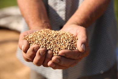 Man holding ripe wheat grains outdoors, closeup