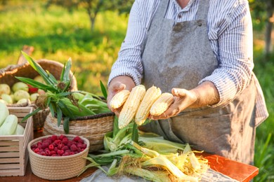 Photo of Senior farmer with different fresh products outdoors, closeup