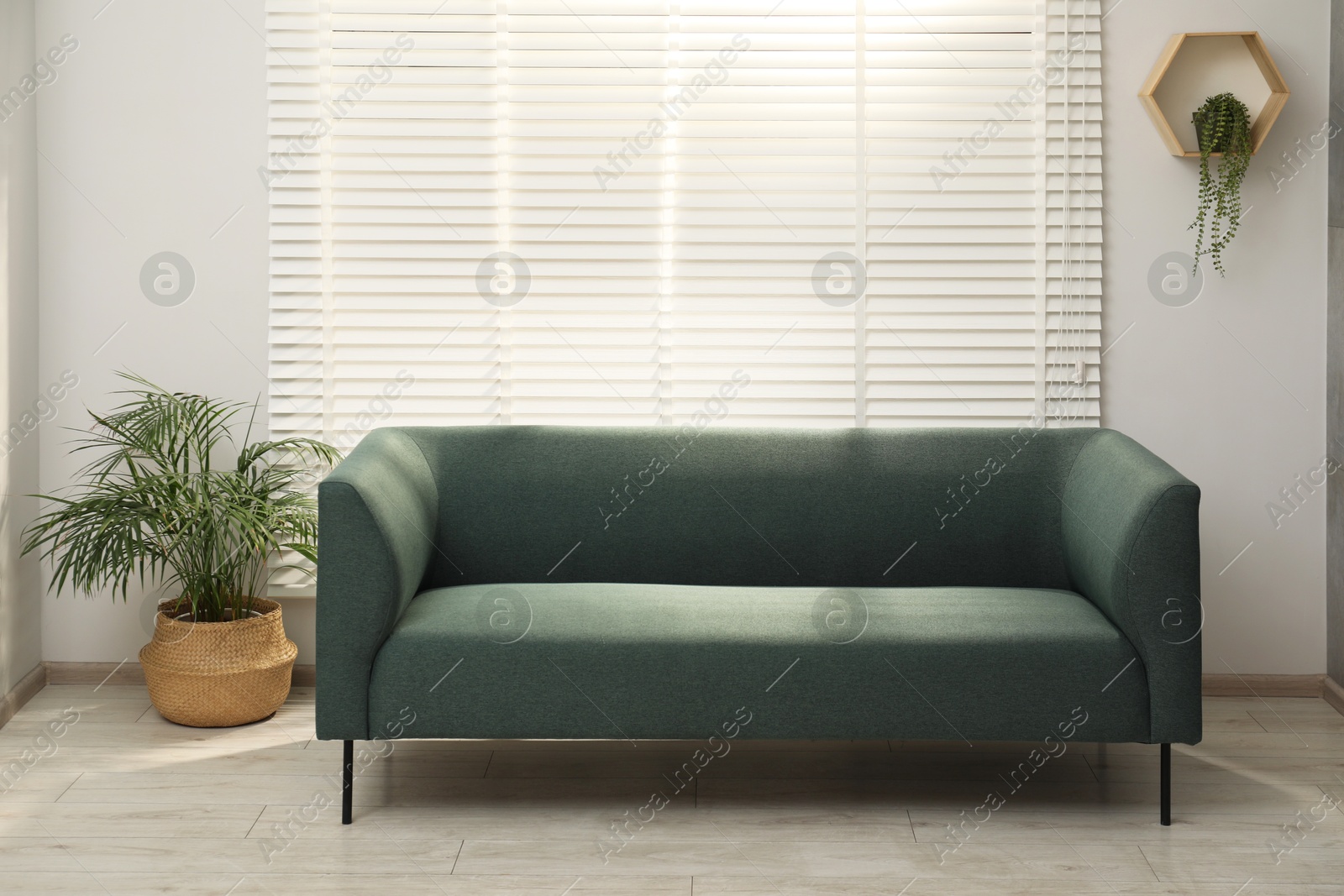 Photo of Comfortable couch and green plants near light wall indoors. Interior design