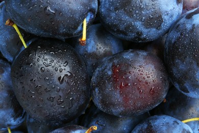 Photo of Many fresh plums with water drops as background, above view