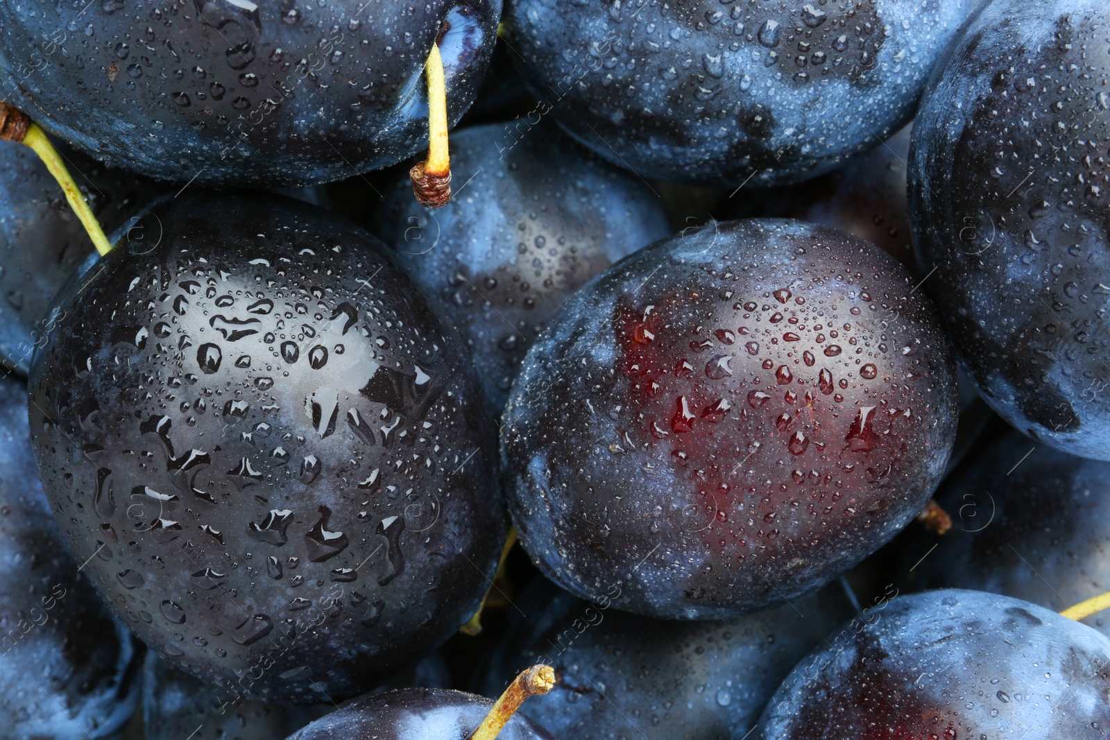 Photo of Many fresh plums with water drops as background, top view