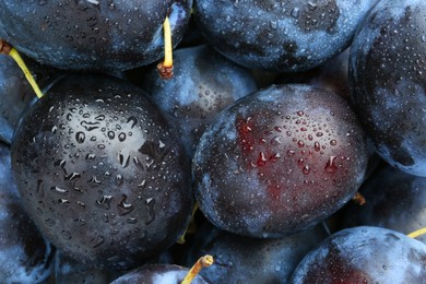 Photo of Many fresh plums with water drops as background, top view