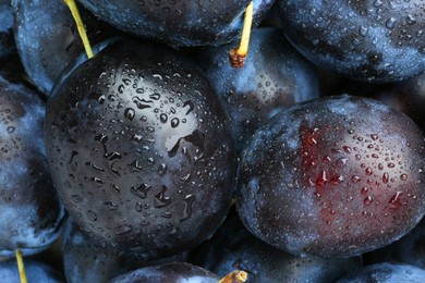 Photo of Many fresh plums with water drops as background, top view