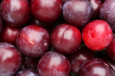 Photo of Many fresh plums as background, top view