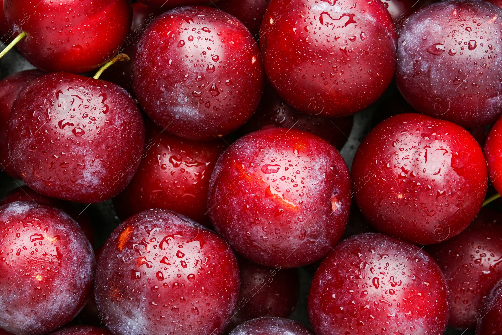 Photo of Many fresh plums with water drops as background, top view