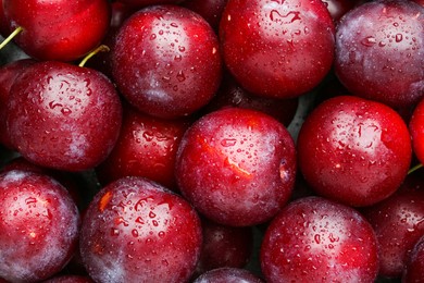 Photo of Many fresh plums with water drops as background, top view